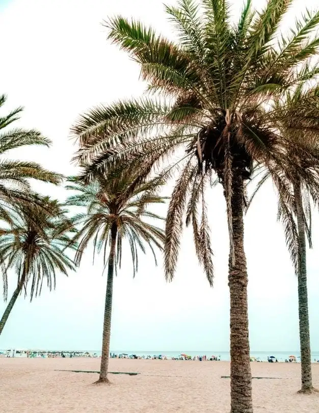 Praia de Valência,  a Cidade Surpresa